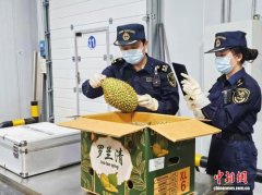 一季度中老铁路进出口货值