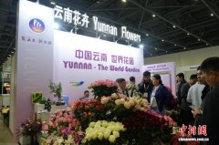 阿斯塔纳鲜花展上的“云南